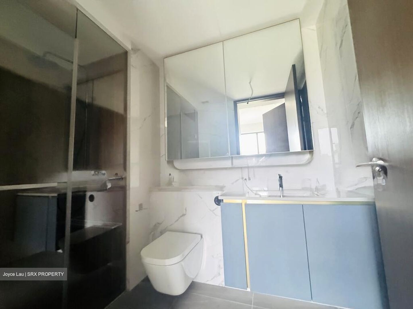 Amo Residence (D20), Apartment #515302651